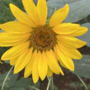 ヒメ日記 2025/08/22 19:51 投稿 りこ 熟女の風俗最終章 宇都宮店