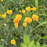 ヒメ日記 2025/08/23 08:01 投稿 りこ 熟女の風俗最終章 宇都宮店