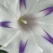 ヒメ日記 2025/08/23 18:41 投稿 りこ 熟女の風俗最終章 宇都宮店