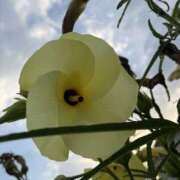 ヒメ日記 2025/08/31 07:32 投稿 りこ 熟女の風俗最終章 宇都宮店