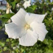 ヒメ日記 2025/09/02 20:02 投稿 りこ 熟女の風俗最終章 宇都宮店