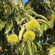 ヒメ日記 2025/09/06 21:14 投稿 りこ 熟女の風俗最終章 宇都宮店