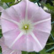 ヒメ日記 2025/09/07 21:11 投稿 りこ 熟女の風俗最終章 宇都宮店