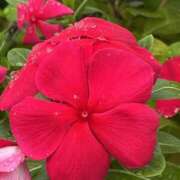 ヒメ日記 2025/09/19 16:11 投稿 りこ 熟女の風俗最終章 宇都宮店