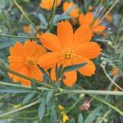 ヒメ日記 2025/09/22 09:22 投稿 りこ 熟女の風俗最終章 宇都宮店