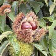 ヒメ日記 2025/09/30 08:01 投稿 りこ 熟女の風俗最終章 宇都宮店