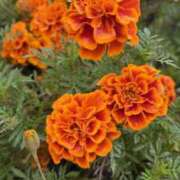 ヒメ日記 2025/10/06 22:11 投稿 りこ 熟女の風俗最終章 宇都宮店