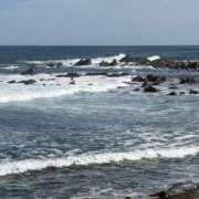 ヒメ日記 2025/10/08 10:41 投稿 りこ 熟女の風俗最終章 宇都宮店