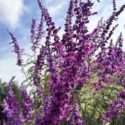 ヒメ日記 2025/10/16 20:32 投稿 りこ 熟女の風俗最終章 宇都宮店