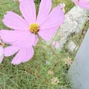 ヒメ日記 2025/10/19 15:21 投稿 りこ 熟女の風俗最終章 宇都宮店