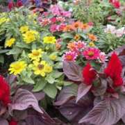 ヒメ日記 2025/10/19 21:11 投稿 りこ 熟女の風俗最終章 宇都宮店