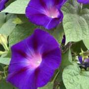 ヒメ日記 2025/10/20 16:28 投稿 りこ 熟女の風俗最終章 宇都宮店