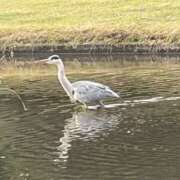 ヒメ日記 2025/10/25 08:21 投稿 りこ 熟女の風俗最終章 宇都宮店