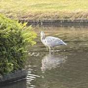 ヒメ日記 2025/10/26 17:31 投稿 りこ 熟女の風俗最終章 宇都宮店