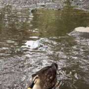 ヒメ日記 2025/10/29 17:29 投稿 りこ 熟女の風俗最終章 宇都宮店