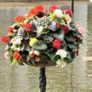 ヒメ日記 2025/11/01 16:19 投稿 りこ 熟女の風俗最終章 宇都宮店