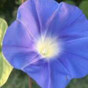 ヒメ日記 2025/11/05 08:31 投稿 りこ 熟女の風俗最終章 宇都宮店