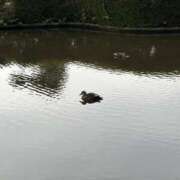 ヒメ日記 2025/11/07 21:12 投稿 りこ 熟女の風俗最終章 宇都宮店