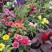 ヒメ日記 2025/11/09 16:06 投稿 りこ 熟女の風俗最終章 宇都宮店