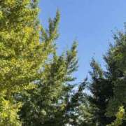 ヒメ日記 2025/11/09 22:12 投稿 りこ 熟女の風俗最終章 宇都宮店