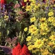 ヒメ日記 2025/11/21 08:51 投稿 りこ 熟女の風俗最終章 宇都宮店