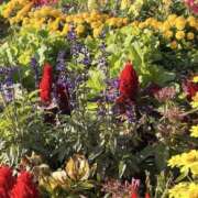 ヒメ日記 2025/11/21 13:51 投稿 りこ 熟女の風俗最終章 宇都宮店