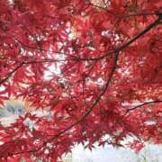 ヒメ日記 2025/11/25 08:42 投稿 りこ 熟女の風俗最終章 宇都宮店