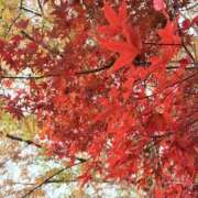 ヒメ日記 2025/11/25 19:42 投稿 りこ 熟女の風俗最終章 宇都宮店