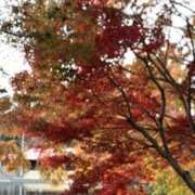 ヒメ日記 2025/11/27 16:01 投稿 りこ 熟女の風俗最終章 宇都宮店