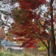 ヒメ日記 2025/11/27 16:31 投稿 りこ 熟女の風俗最終章 宇都宮店