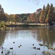 ヒメ日記 2025/11/28 14:46 投稿 りこ 熟女の風俗最終章 宇都宮店