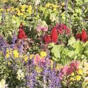 ヒメ日記 2025/11/29 09:42 投稿 りこ 熟女の風俗最終章 宇都宮店