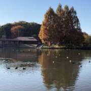 ヒメ日記 2025/11/29 21:12 投稿 りこ 熟女の風俗最終章 宇都宮店