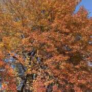 ヒメ日記 2025/12/05 16:15 投稿 りこ 熟女の風俗最終章 宇都宮店