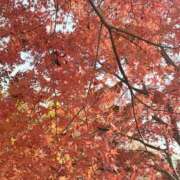 ヒメ日記 2025/12/05 16:21 投稿 りこ 熟女の風俗最終章 宇都宮店