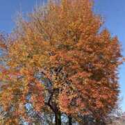 ヒメ日記 2025/12/07 10:21 投稿 りこ 熟女の風俗最終章 宇都宮店