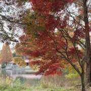 ヒメ日記 2025/12/09 08:31 投稿 りこ 熟女の風俗最終章 宇都宮店