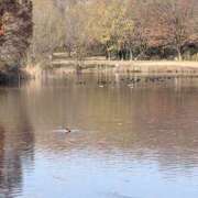 ヒメ日記 2025/12/11 08:31 投稿 りこ 熟女の風俗最終章 宇都宮店