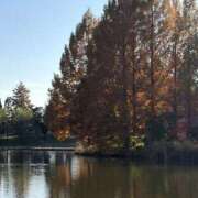 ヒメ日記 2025/12/11 20:15 投稿 りこ 熟女の風俗最終章 宇都宮店