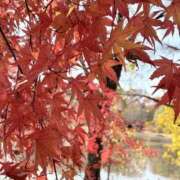 ヒメ日記 2025/12/11 20:22 投稿 りこ 熟女の風俗最終章 宇都宮店