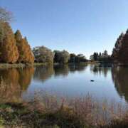 ヒメ日記 2025/12/12 08:11 投稿 りこ 熟女の風俗最終章 宇都宮店