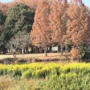 ヒメ日記 2025/12/14 20:41 投稿 りこ 熟女の風俗最終章 宇都宮店