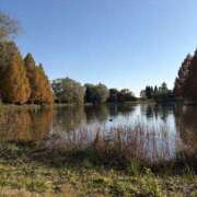 ヒメ日記 2025/12/16 08:15 投稿 りこ 熟女の風俗最終章 宇都宮店