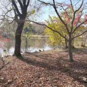 ヒメ日記 2025/12/16 19:00 投稿 りこ 熟女の風俗最終章 宇都宮店