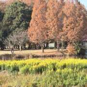 ヒメ日記 2025/12/18 08:41 投稿 りこ 熟女の風俗最終章 宇都宮店