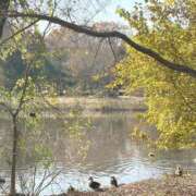 ヒメ日記 2025/12/23 16:21 投稿 りこ 熟女の風俗最終章 宇都宮店