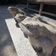 ヒメ日記 2025/12/26 12:32 投稿 りこ 熟女の風俗最終章 宇都宮店