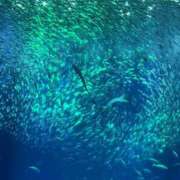 ヒメ日記 2025/12/26 21:37 投稿 りこ 熟女の風俗最終章 宇都宮店