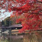 ヒメ日記 2025/12/26 21:42 投稿 りこ 熟女の風俗最終章 宇都宮店