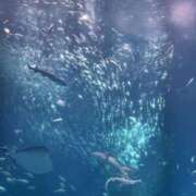 ヒメ日記 2025/12/27 08:31 投稿 りこ 熟女の風俗最終章 宇都宮店